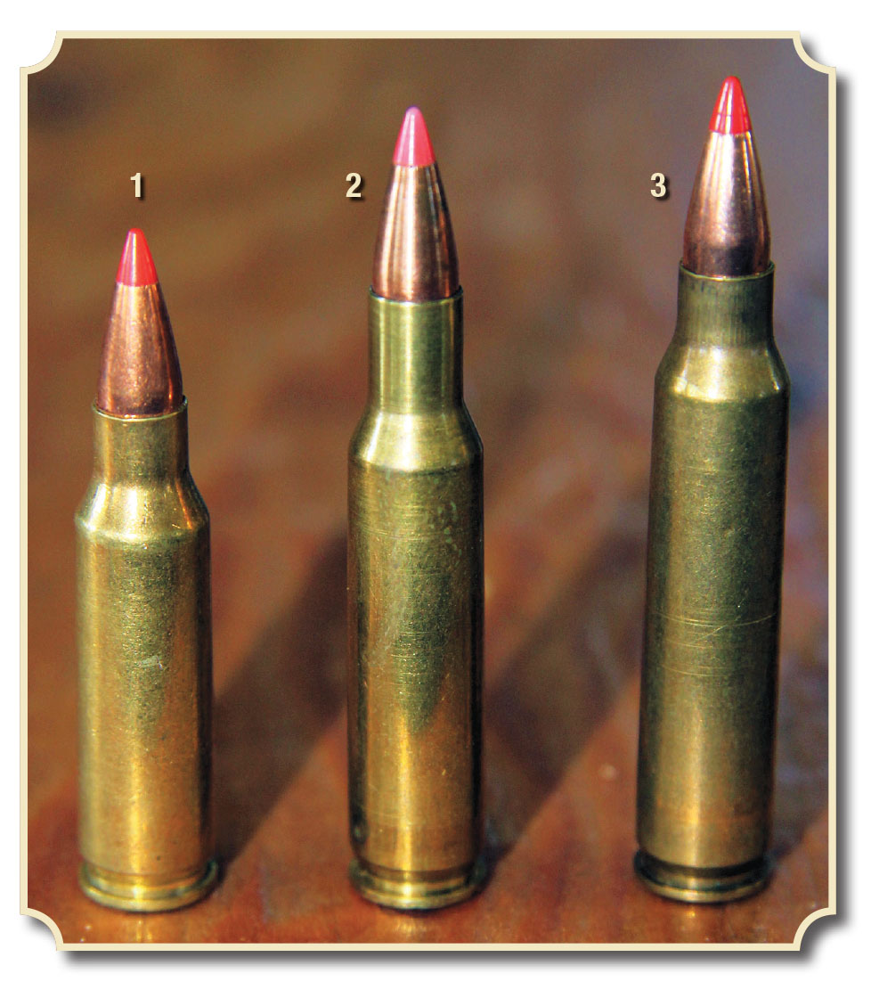 Cartridges shown for comparison include the (1) .221 Remington Fireball, (2) .222 Remington and (3) .223 Remington, all topped with 40-grain, poly-tipped bullets.